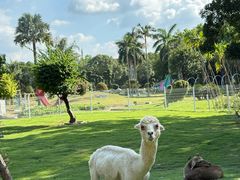 -东南花都花博园