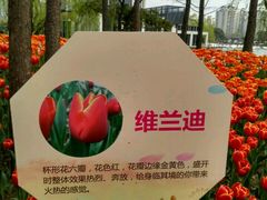 -大宁灵石公园西门票处