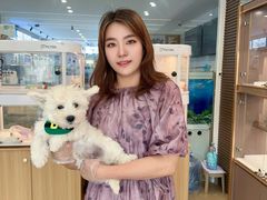 -翊宠yipet猫狗购宠庄园