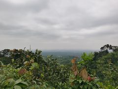 -海口火山口国家地质公园