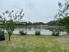 -鹅湖玫瑰文化园