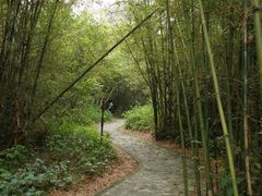 -开平碉楼文化旅游区马降龙景区