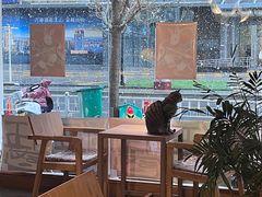 -栖咖啡(泉舜店)