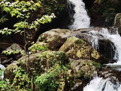 -大围山国家森林公园
