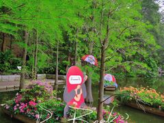 -深圳仙湖植物园