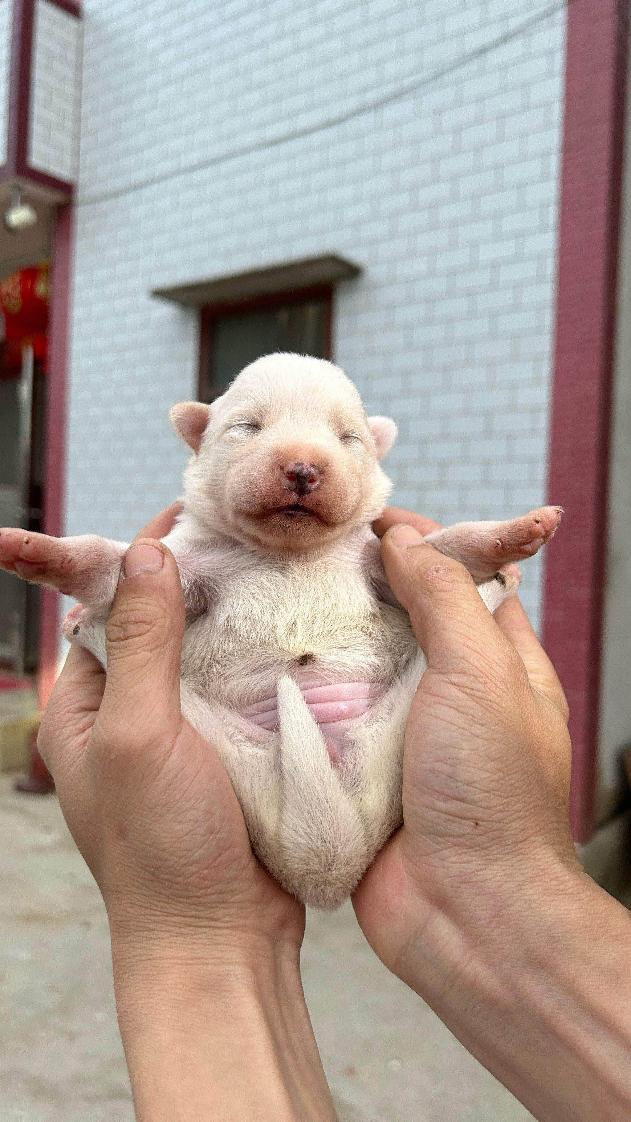 可不可爱[拥抱][拥抱]