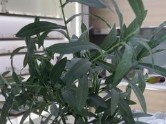 -视野联行眼镜·蔡司·尼康战略合作店(城西银泰店)