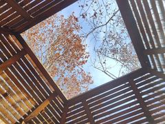 -春晖园度假酒店温泉