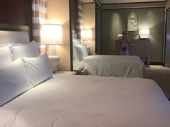 -拉斯维加斯永利酒店