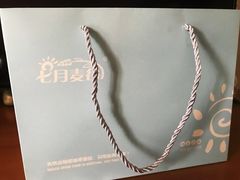 -维尔纳斯·生日蛋糕·动物奶油冰淇淋蛋糕(六里桥店)