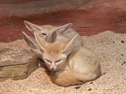 -Zoolung Zoolung动物主题公园(海信广场店)