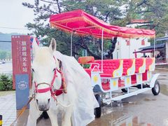 -普陀宗乘之庙(小布达拉宫)