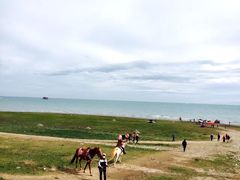 -青海湖国家重点风景名胜区