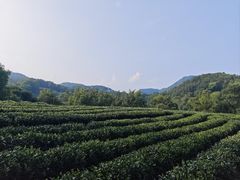 -西湖风景区十里琅珰-五云山