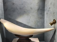 -河南自然博物馆