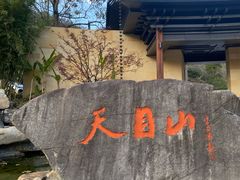 -天目山大树王景区