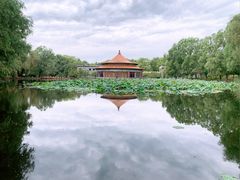 -二一九公园