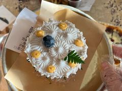 -野草莓自由市场