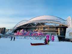 -沈阳奥体冰雪嘉年华