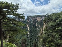 -岳麓山风景名胜区