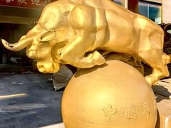 -华西龙希国际大酒店旅游观光景区