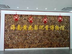 -呀诺达热带雨林
