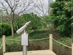 -华侨城湿地公园