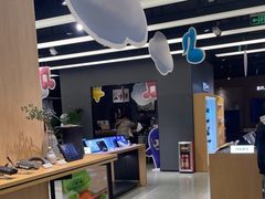 -Sony Store索尼(广州正佳店)