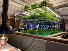 -猫爪爪原切自助烤肉(观音桥阳光世纪店)