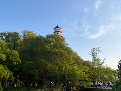 -江心屿景区