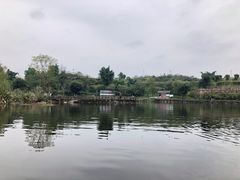 -两江国际影视城