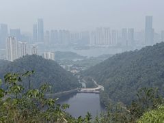 -桃花岭景区