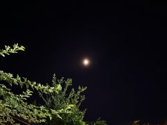 -一叶觅山(半边街店)