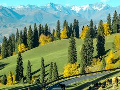 -新疆那拉提国家旅游度假区