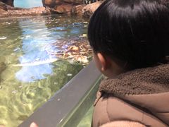 -江和美海洋公园