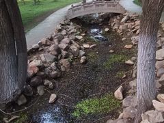 -黛秀湖公园
