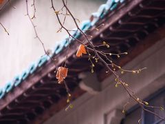 -维乐口腔医院(星海湾分院)