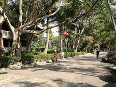-西双版纳傣族园