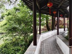 -上海醉白池公园