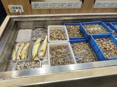 -渡海小渔村.老辈日照菜