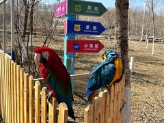 -水上乐园·欢乐世界