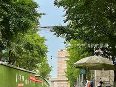 -六广门毛阿姨糯米饭