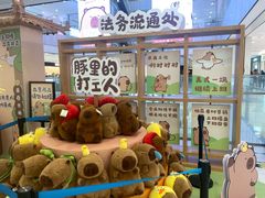 -凯德MALL(西直门店)