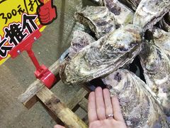-蚝专家(北滘店)