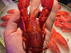 -红盔甲·小龙虾(车公庙店)