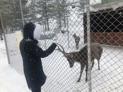 -长白山万达喜来登度假酒店