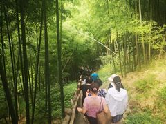 -藏龙百瀑风景区