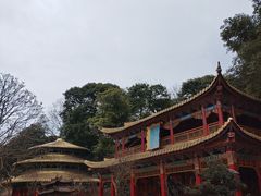 -都江堰玫瑰花溪谷