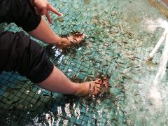 -泰国鱼疗足疗馆