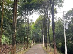 -紫马岭公园
